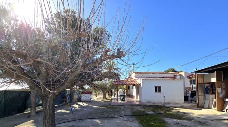 Alicante - Alicante - 2830m2