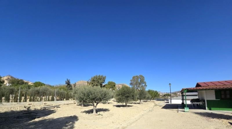 Alicante - Alicante - 2830m2