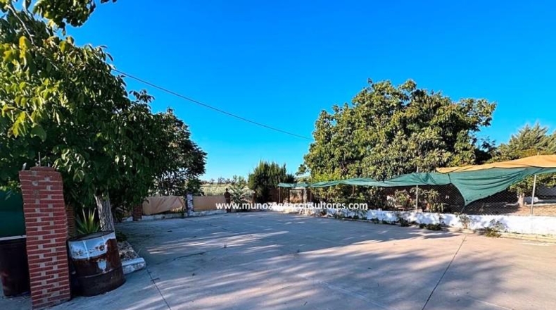 Cordova - Lucena - 1000m2