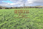 Non-developable land for sale on España, Bárcena de Cicero, ref: TR313610 photo