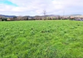 Non-developable land for sale on España, Bárcena de Cicero, ref: TR313610 photo