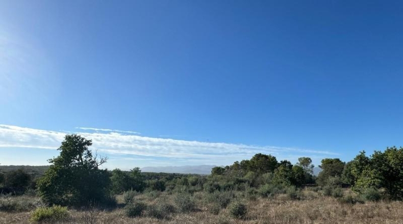 Islas Baleares - Costitx - 42511m2