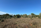 Xalet independent amb terreny en venda a la España, Costitx, ref.: TR316318 foto