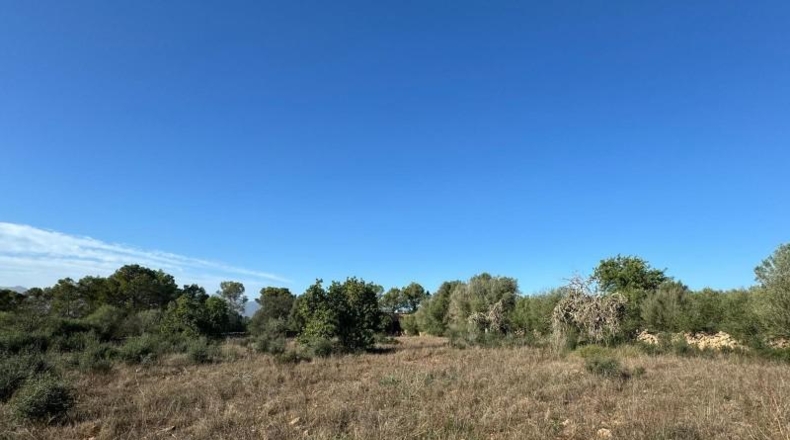 Islas Baleares - Costitx - 42511m2