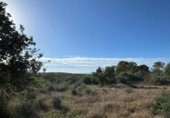 Xalet independent amb terreny en venda a la España, Costitx, ref.: TR316318 foto