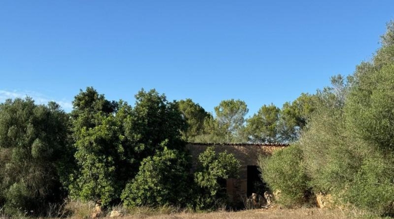 Islas Baleares - Costitx - 42511m2