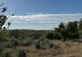 Xalet independent amb terreny en venda a la España, Costitx, ref.: TR316318 foto