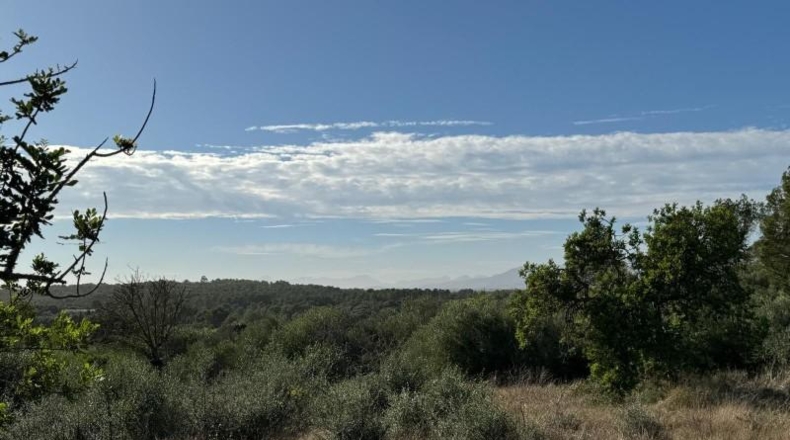 Islas Baleares - Costitx - 42511m2