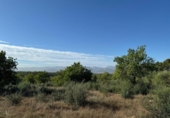Xalet independent amb terreny en venda a la España, Costitx, ref.: TR316318 foto