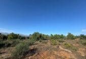 Xalet independent amb terreny en venda a la España, Costitx, ref.: TR316318 foto