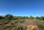 Xalet independent amb terreny en venda a la España, Costitx, ref.: TR316318 foto