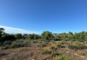 Xalet independent amb terreny en venda a la España, Costitx, ref.: TR316318 foto