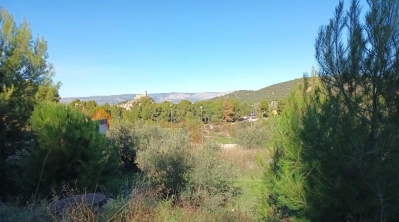Alicante - Biar - 1602m2