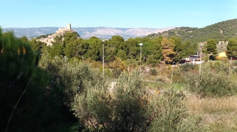 Alicante - Biar - 1602m2