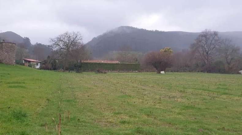 Cantàbria - Cabezón de la Sal - 4317m2