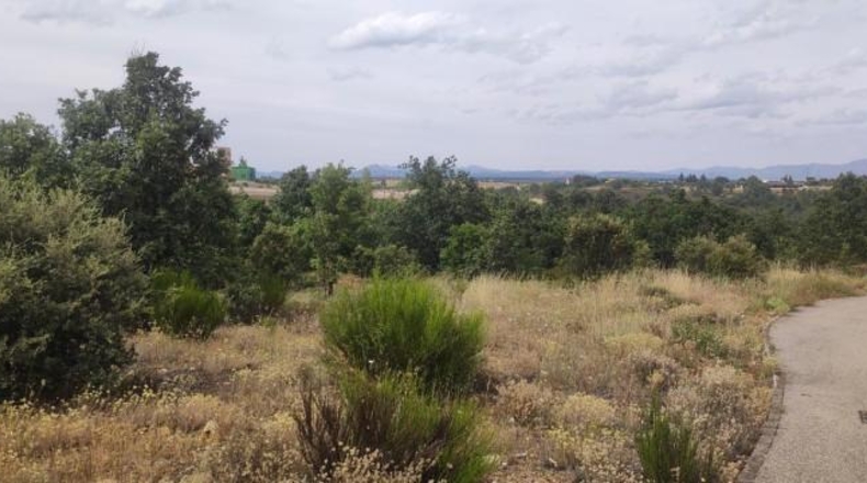 Leon - Garrafe de Torío - 30557m2