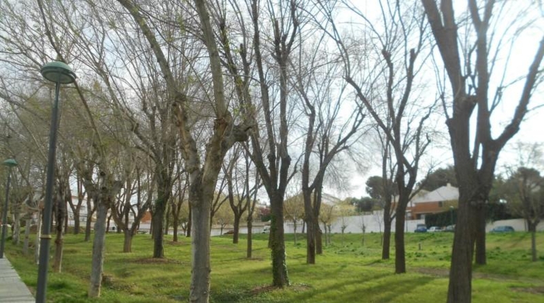 Tarragona - Tarragona - 220m2