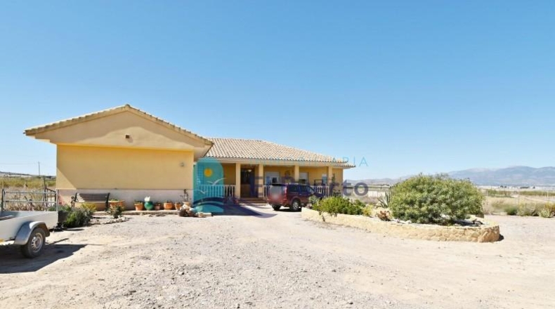 Murcia - Totana - 17500m2