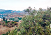 Parcel·la urbanitzable en venda a la España, Nerja, ref.: TR129885 foto