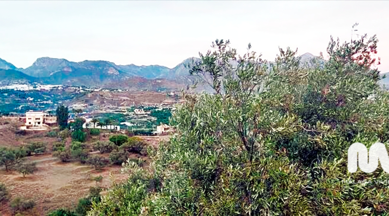 Malaga - Nerja - 10666m2