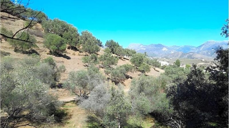 Malaga - Nerja - 10666m2