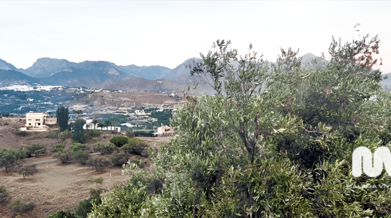 Malaga - Nerja - 10666m2
