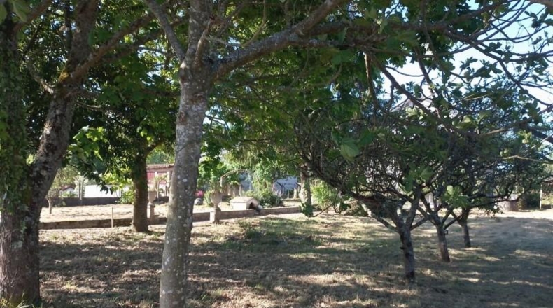 Orense - Barbadás - 1638m2