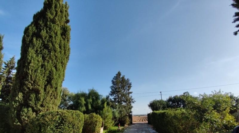 Мурсия - Cartagena - 4000m2