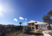 Xalet independent amb terreny en venda a la España, Alarilla, ref.: TR335944 foto
