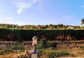 Xalet independent amb terreny en venda a la España, Alarilla, ref.: TR335944 foto