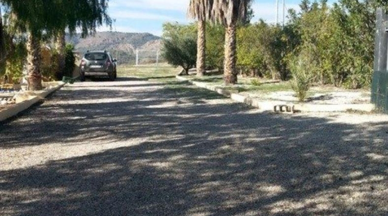 Murcia - Totana - 8000m2