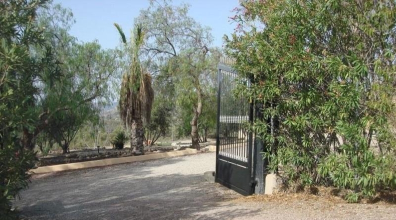 Murcia - Totana - 8000m2