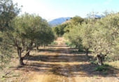Chalet independiente con terreno en venta en la España, Totana, ref: TR276239 foto