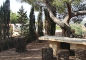 Chalet independiente con terreno en venta en la España, Totana, ref: TR276239 foto