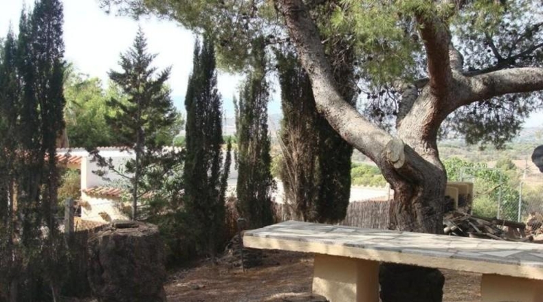 Murcia - Totana - 8000m2