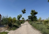 Xalet independent amb terreny en venda a la España, Fortuna, ref.: TR248621 foto