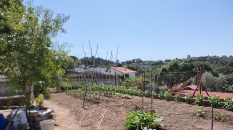 Gerona - Maçanet de la Selva - 897m2