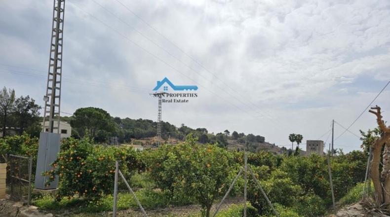 Alicante - Altea - 15473m2