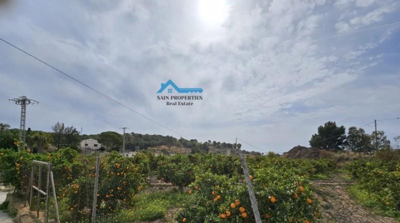 Alicante - Altea - 15473m2