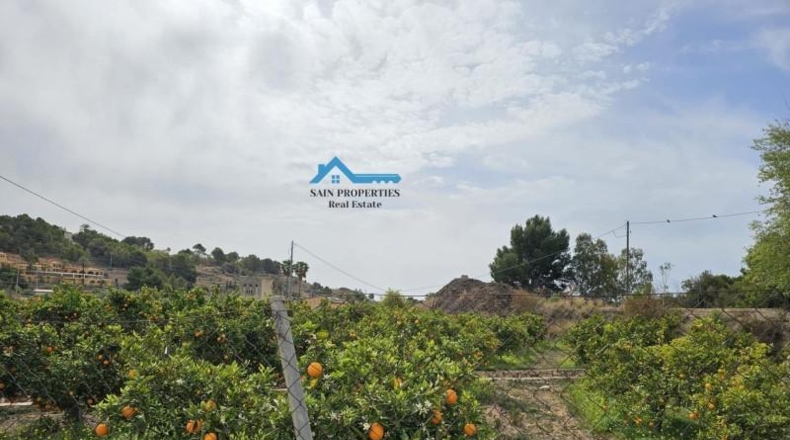 Alicante - Altea - 15473m2