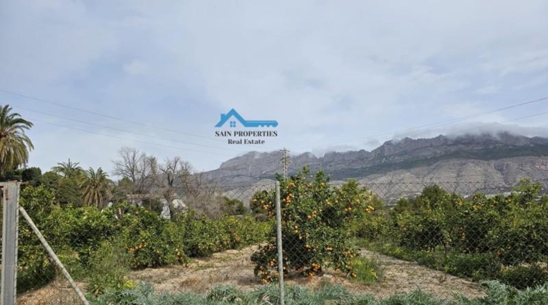 Alicante - Altea - 15473m2