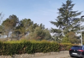 Non-developable land for sale on España, Sant Fruitós de Bages, ref: TR127770 photo