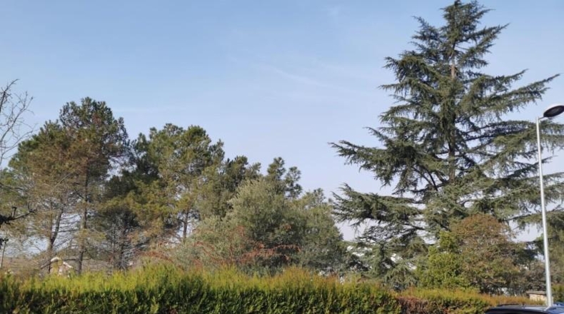 Barcelona - Sant Fruitós de Bages - 1056m2