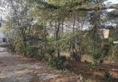 Casa con terreno en venta en la España, Sant Fruitós de Bages, ref: TR304499 foto