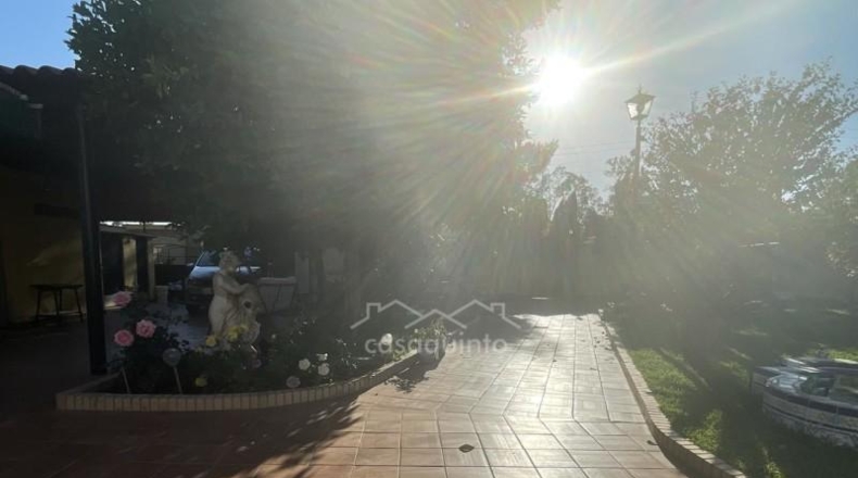 Sevilla - Alcalá de Guadaíra - 810m2