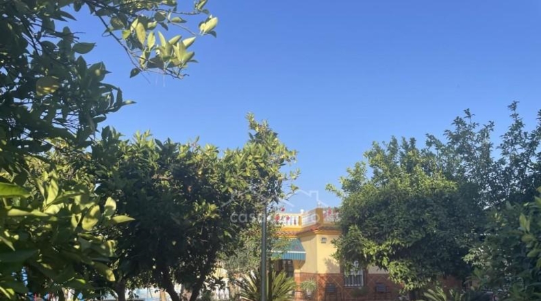 Sevilla - Alcalá de Guadaíra - 810m2