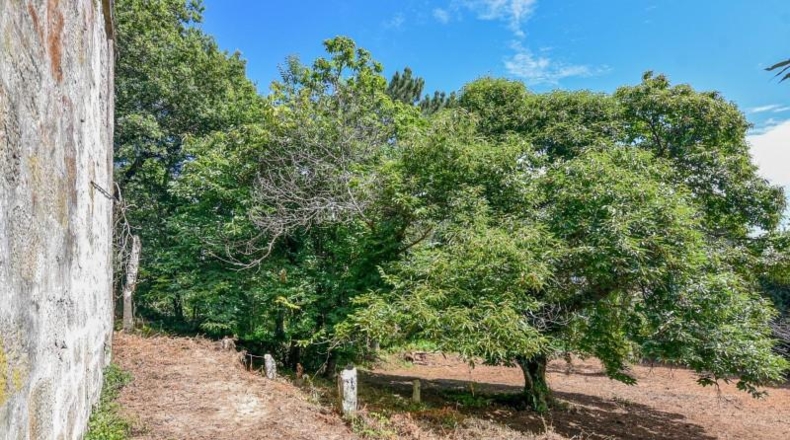 Pontevedra - Marín - 10037m2