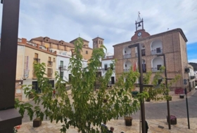 Laujar de Andarax 354&nbsp;m² 