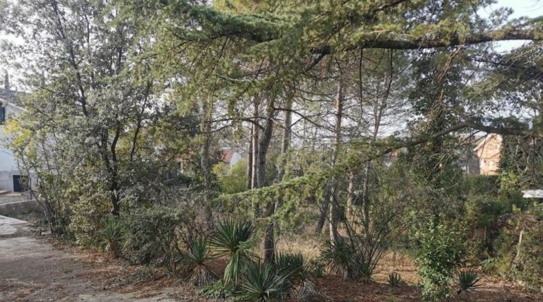 Barcelona - Sant Fruitós de Bages - 1056m2