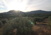 Terreny amb magatzem en venda a la España, Álora, ref.: TR381511 foto